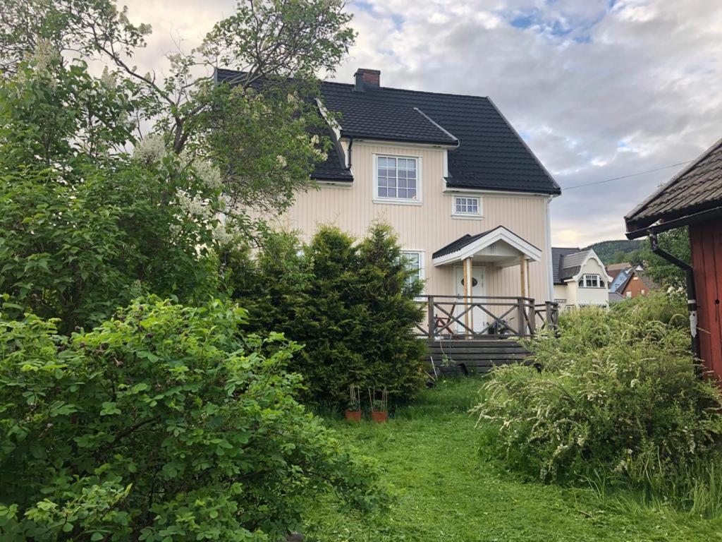 Central, Large And Light Apartment In The Middle Of The City Lillehammer Luaran gambar